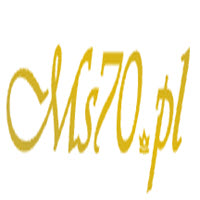 Logo firmy Sklep kolekcjonerski Ms70